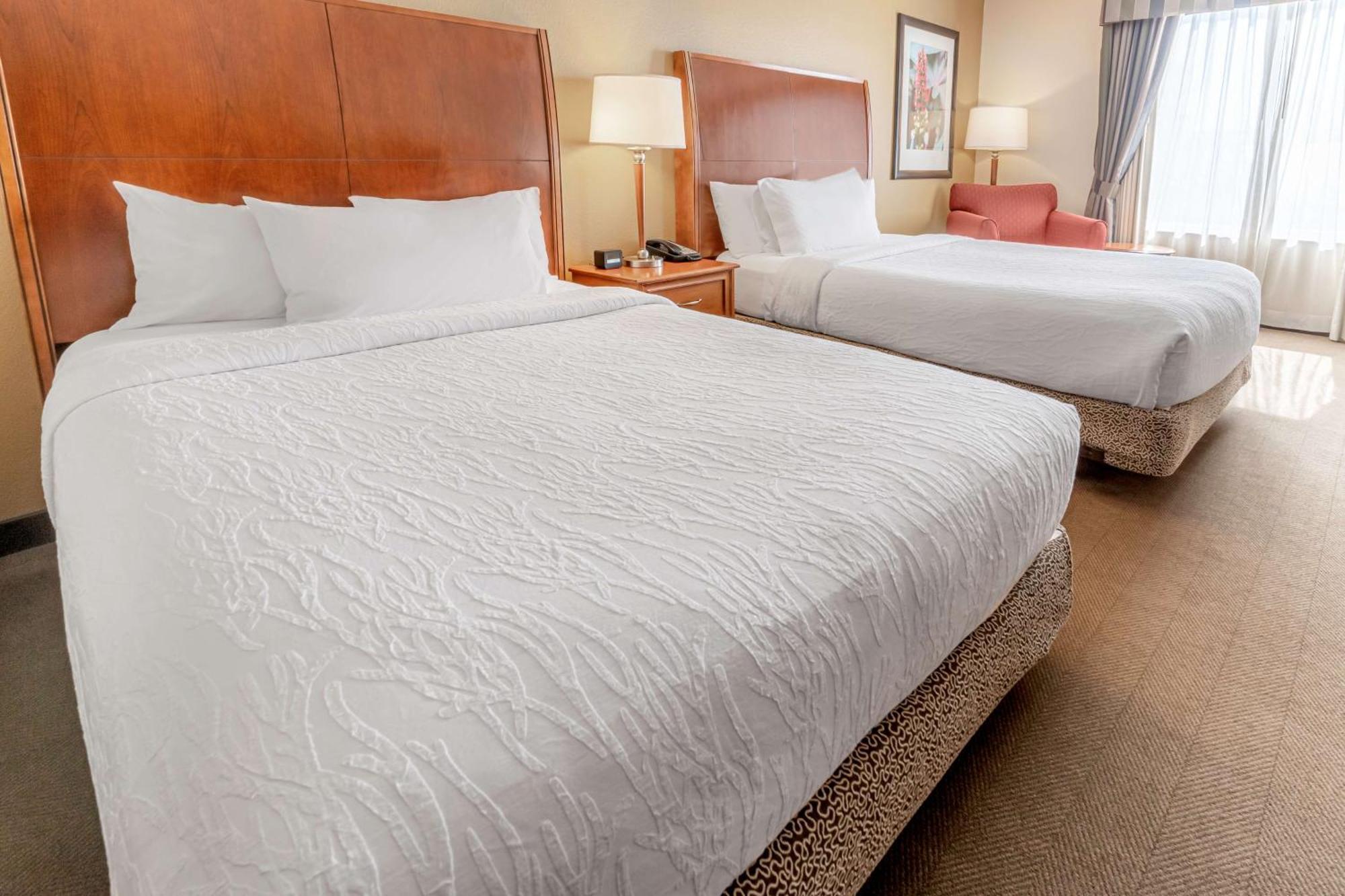 Hotel Hilton Garden Houston/the Woodlands