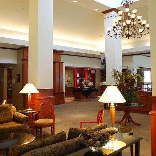 Hotel Hilton Garden Houston/the Woodlands The Woodlands